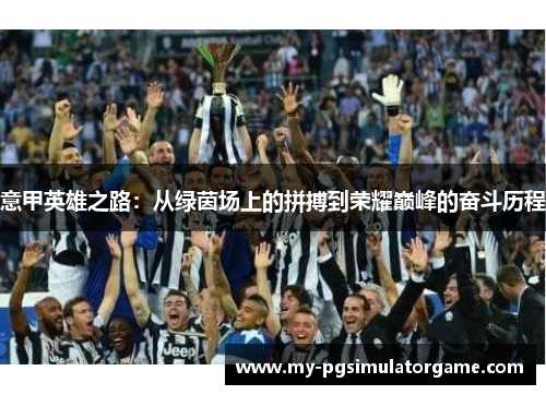 意甲英雄之路：从绿茵场上的拼搏到荣耀巅峰的奋斗历程