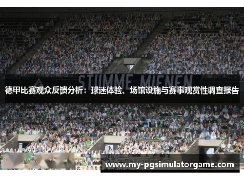 德甲比赛观众反馈分析：球迷体验、场馆设施与赛事观赏性调查报告
