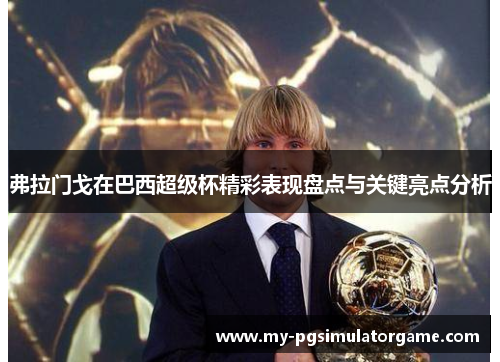 弗拉门戈在巴西超级杯精彩表现盘点与关键亮点分析