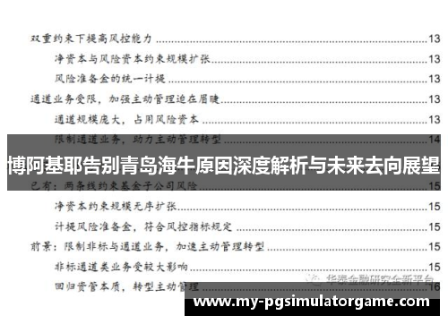 博阿基耶告别青岛海牛原因深度解析与未来去向展望