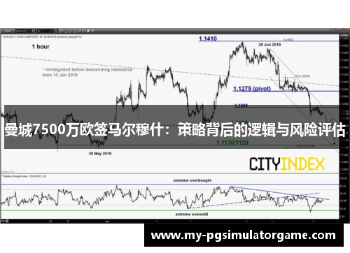 曼城7500万欧签马尔穆什：策略背后的逻辑与风险评估