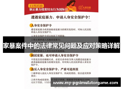 家暴案件中的法律常见问题及应对策略详解