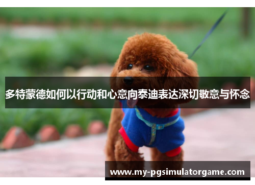 多特蒙德如何以行动和心意向泰迪表达深切敬意与怀念
