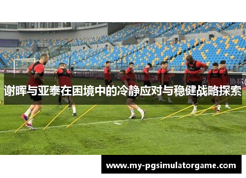 谢晖与亚泰在困境中的冷静应对与稳健战略探索