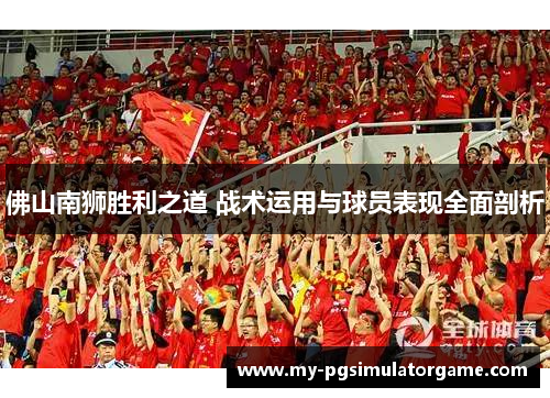 佛山南狮胜利之道 战术运用与球员表现全面剖析