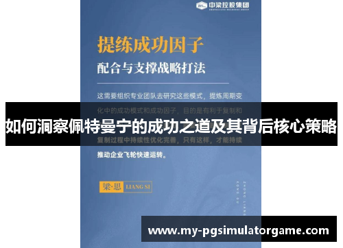如何洞察佩特曼宁的成功之道及其背后核心策略