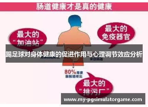 踢足球对身体健康的促进作用与心理调节效应分析