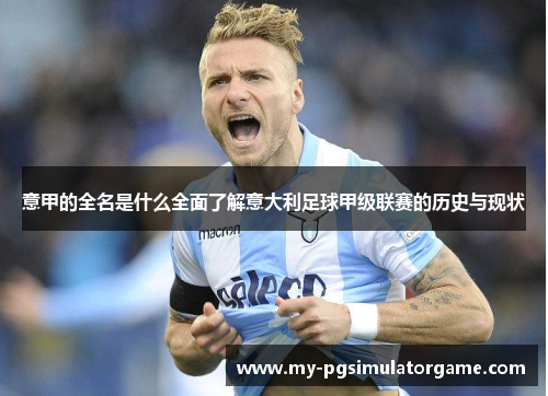 意甲的全名是什么全面了解意大利足球甲级联赛的历史与现状