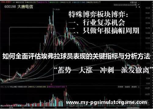 如何全面评估埃弗拉球员表现的关键指标与分析方法