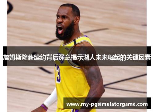詹姆斯降薪续约背后深意揭示湖人未来崛起的关键因素