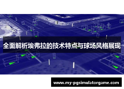 全面解析埃弗拉的技术特点与球场风格展现