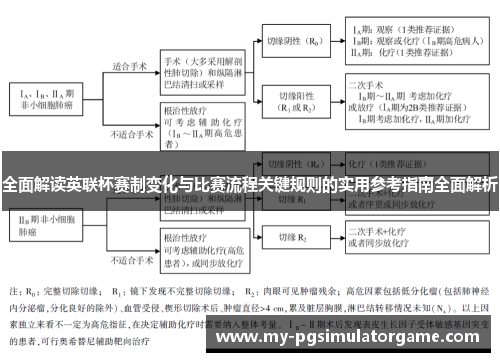 全面解读英联杯赛制变化与比赛流程关键规则的实用参考指南全面解析
