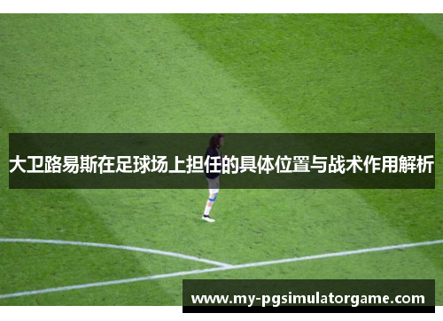 大卫路易斯在足球场上担任的具体位置与战术作用解析