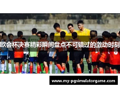 欧会杯决赛精彩瞬间盘点不可错过的激动时刻