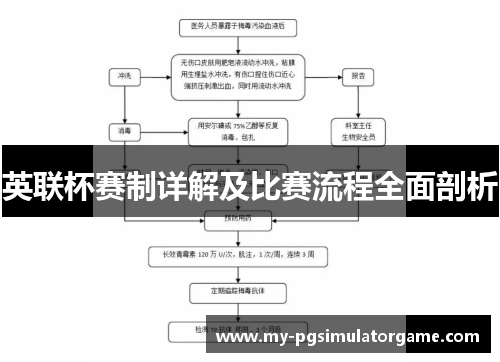 英联杯赛制详解及比赛流程全面剖析