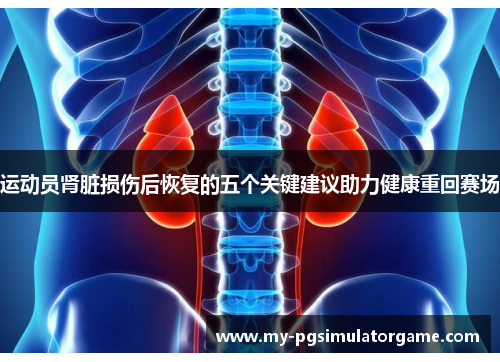 运动员肾脏损伤后恢复的五个关键建议助力健康重回赛场
