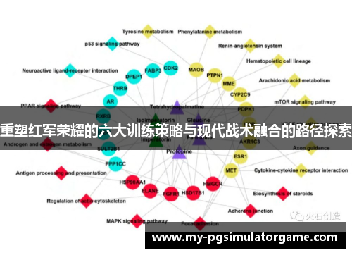 重塑红军荣耀的六大训练策略与现代战术融合的路径探索