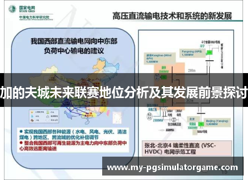 加的夫城未来联赛地位分析及其发展前景探讨 加的夫城未来联赛地位分析及其发展前景探讨