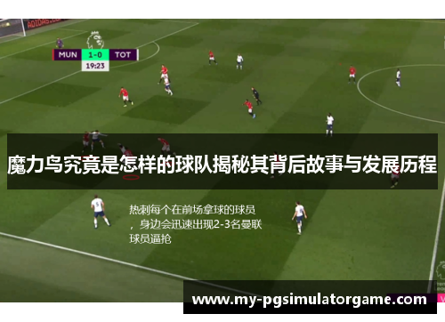 魔力鸟究竟是怎样的球队揭秘其背后故事与发展历程