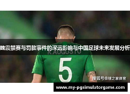 魏震禁赛与罚款事件的深远影响与中国足球未来发展分析