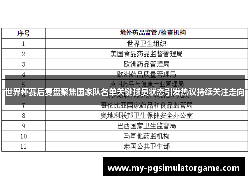 世界杯赛后复盘聚焦国家队名单关键球员状态引发热议持续关注走向