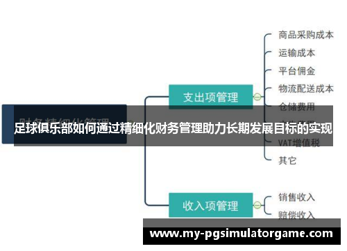 足球俱乐部如何通过精细化财务管理助力长期发展目标的实现