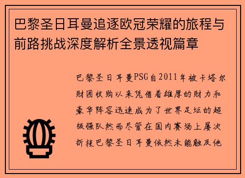 巴黎圣日耳曼追逐欧冠荣耀的旅程与前路挑战深度解析全景透视篇章